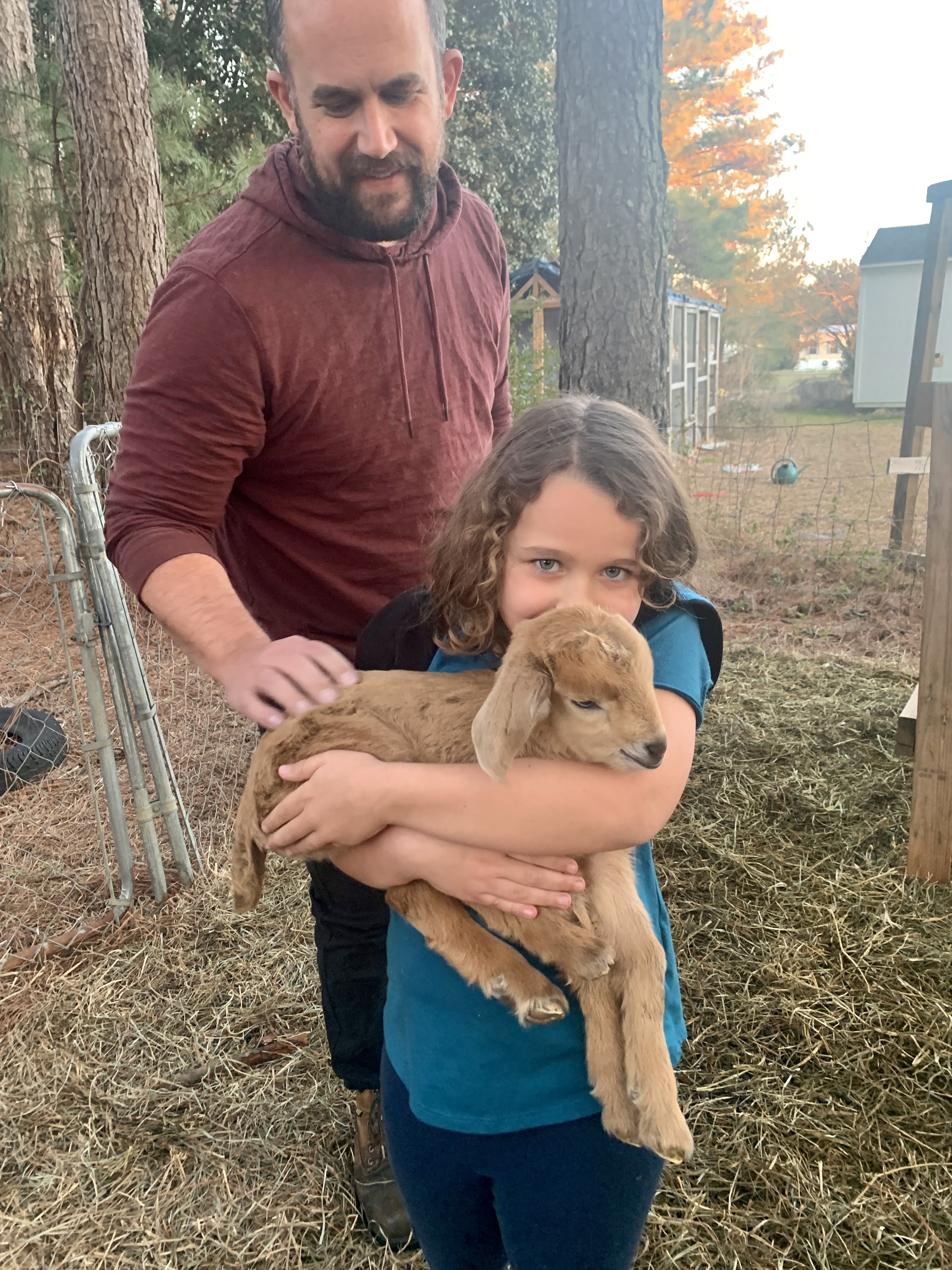 baby goats